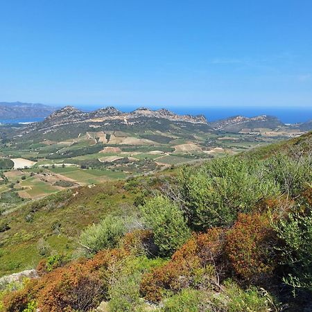 Le Clos Osteria Barbaggio Eksteriør billede