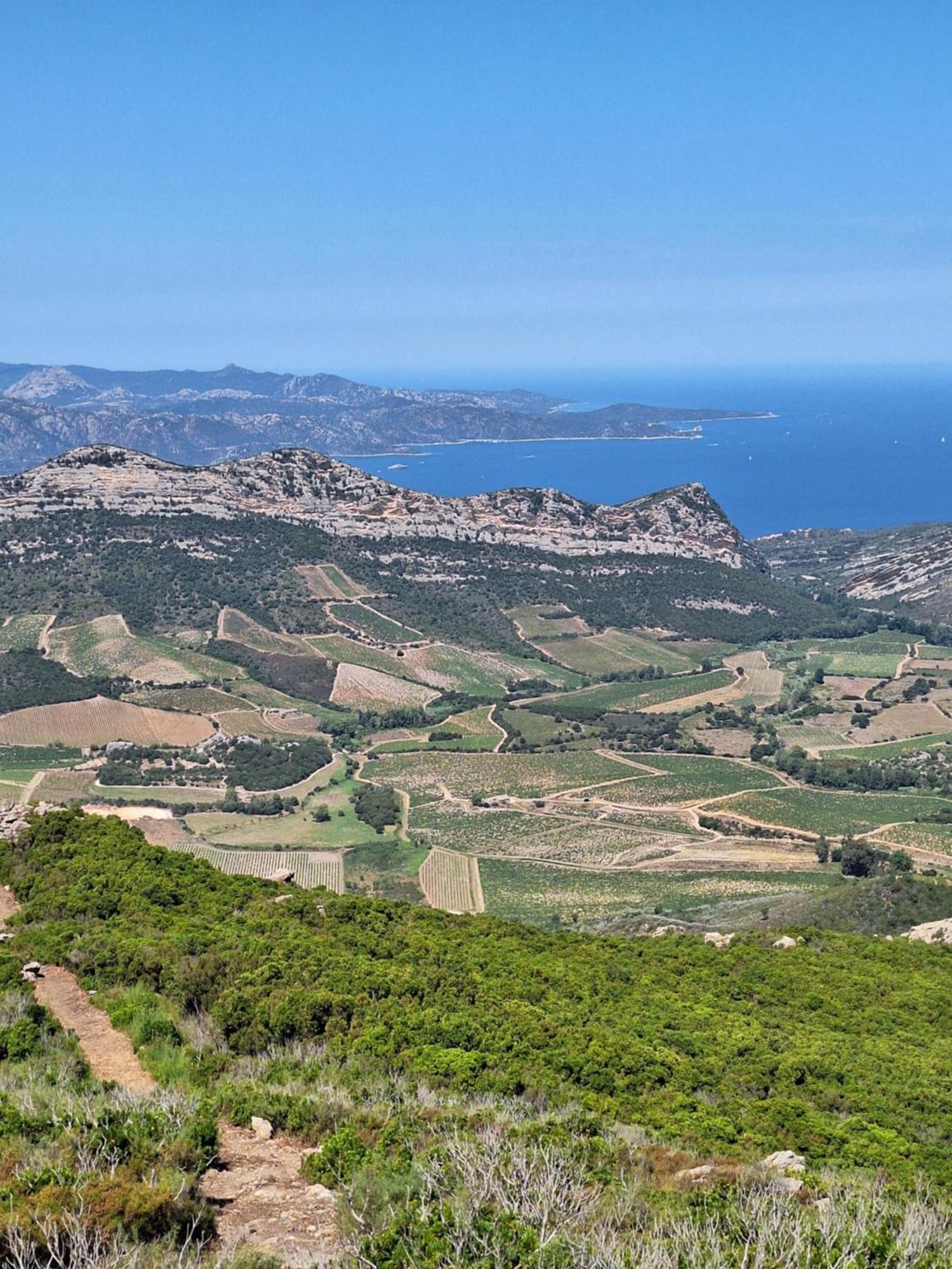 Le Clos Osteria Barbaggio Eksteriør billede